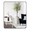 Black Deep Frame 30" x 36" Rectangle Mirror
