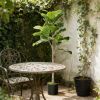Artificial fig tree, potted plant, used for home and office decoration, green