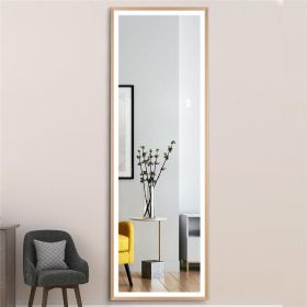 22" x 65" Led Lighted Full Length Mirror; Body Mirrors with Matte Gold Frame; Touch Switch and Stepless Dimmable