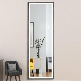 22" x 65" Led Lighted Full Length Mirror; Body Mirrors with Antique Brass Frame; Touch Switch and Stepless Dimmable