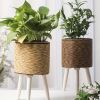 [Handcrafted Vase] Handcrafted Green Decorative Vase | Upgraded Version, Made of Plastic Material, Featuring a Plant Decorative Pot And Flower Stand