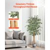 5FT Artificial Ficus Tree with Black Pot, Tall Faux Ficus Plant with Natural Wood Trunk and Realistic Green Leaves, Indoor Fake Silk Tree for Home