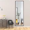 22" x 65" Led Lighted Full Length Mirror; Body Mirrors with Oil Brass Frame; Touch Switch and Stepless Dimmable