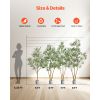 5FT Artificial Olive Tree with Black Pot, Tall Fake Tree with Natural Wood Trunk & Realistic Green Leaves and Fruits, Indoor Faux Plant for Home