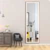 22" x 65" Led Lighted Full Length Mirror; Body Mirrors with Matte Gold Frame; Touch Switch and Stepless Dimmable