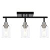 3-Light Track Lighting Kit Bathroom Light Fixtures Matte Black and Brushed Nickel Ceiling Spotlight Fixture for Hallway Porch Foyer Bath Storage