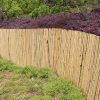 3FT*8FT Environmentally friendly and durable bamboo fences create the perfect barrier between nature and privacy.