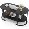 Oval Coffee Table 2-Tier Wooden Accent Table with Spacious Tabletop and Open Storage Shelf