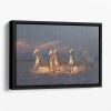Camargue horses on sunset Floating Framed Canvas