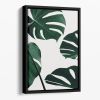 Monstera Natural 20 Floating Framed Canvas