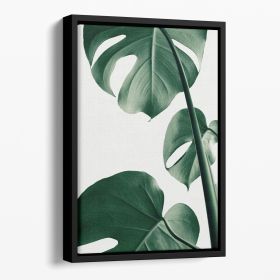 Monstera Natural 37 Floating Framed Canvas (Color: Black, size: 36" x 24" / 90cm x 60cm (approx))