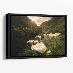 Calla Lily World Floating Framed Canvas (Color: Black, size: 16" x 12" / 42cm x 30cm (approx))