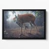 Mother and Fawn Floating Framed Canvas