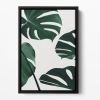 Monstera Natural 20 Floating Framed Canvas