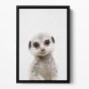 Peekaboo Baby Meerkat Floating Framed Canvas