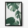 Monstera Natural 37 Floating Framed Canvas