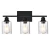 Wall Light Industrial Glass Wall Sconce, Bathroom Wall Light. Seeded Lampshade Wall Lamps for Vanity Mirror Living Room Bedroom (Black)